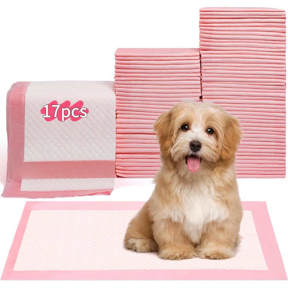 Home Bathroom Urinal - 100/50/30/20/10Pcs Pet Toilet Training Pad Disposable