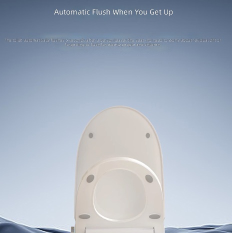 Heated Smart Toilet Seat, Auto - Home For Bathroom review and price