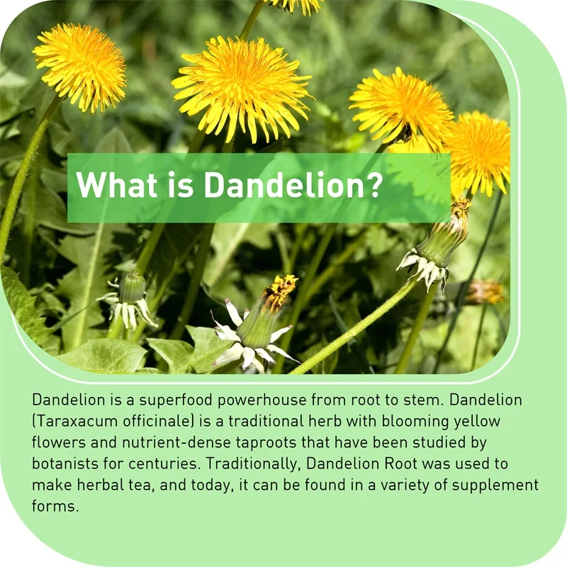 Dandelion Root Capsules - Pros - Home Bathroom Urinal review and price